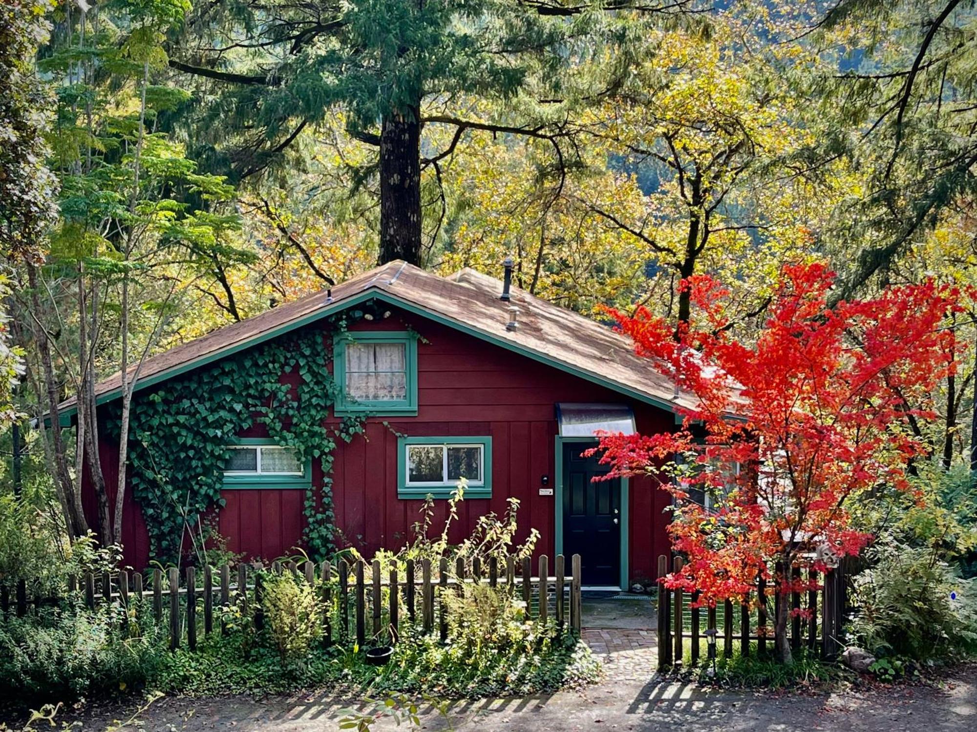 Avenue Of The Giants Caraway Cottage Miranda Zewnętrze zdjęcie