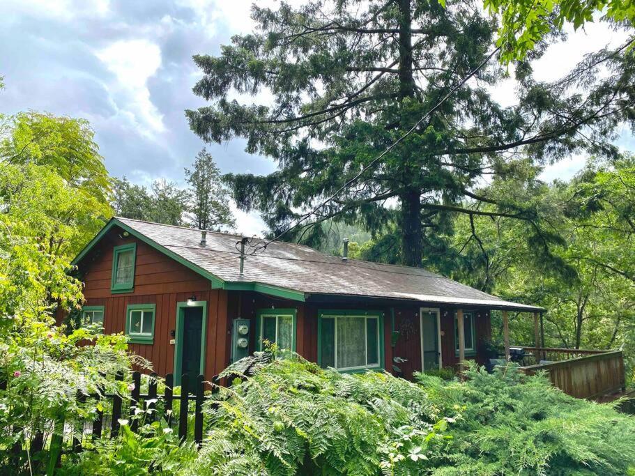Avenue Of The Giants Caraway Cottage Miranda Zewnętrze zdjęcie